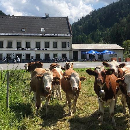 Gasthof Zum Maurer Hotel Mariazell Luaran gambar